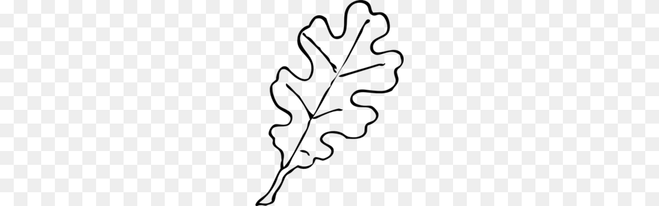 Oak Leaf Clip Art, Gray Free Png