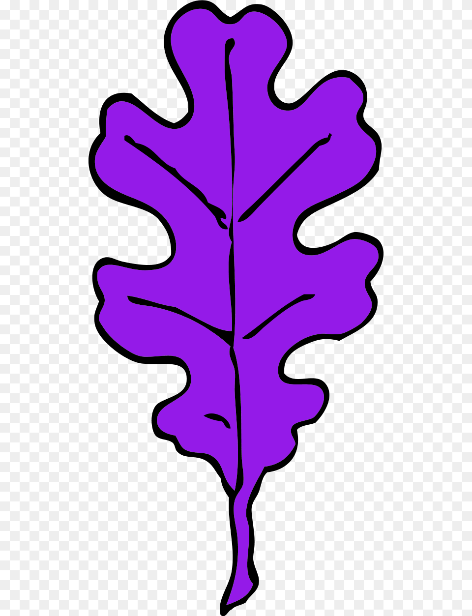 Oak Leaf Clip Art, Plant, Person, Tree Png Image