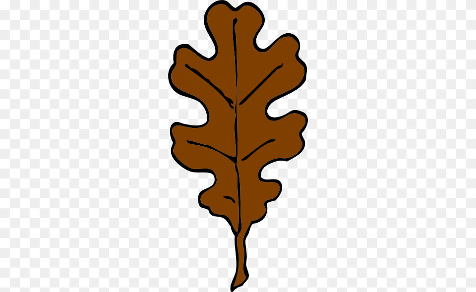 Oak Leaf Clipart, Plant, Tree, Person, Food Png