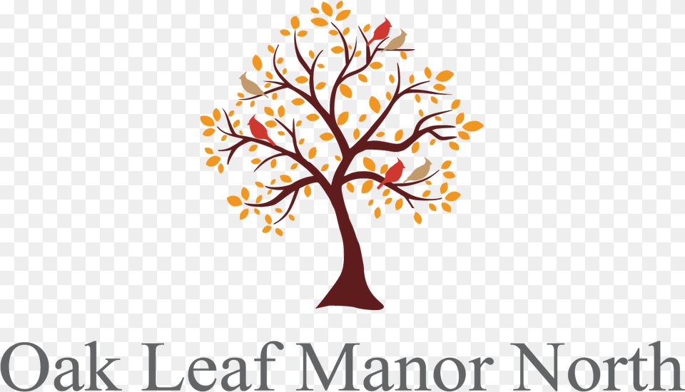 Oak Leaf Manor South, Plant, Tree, Art, Graphics Png Image