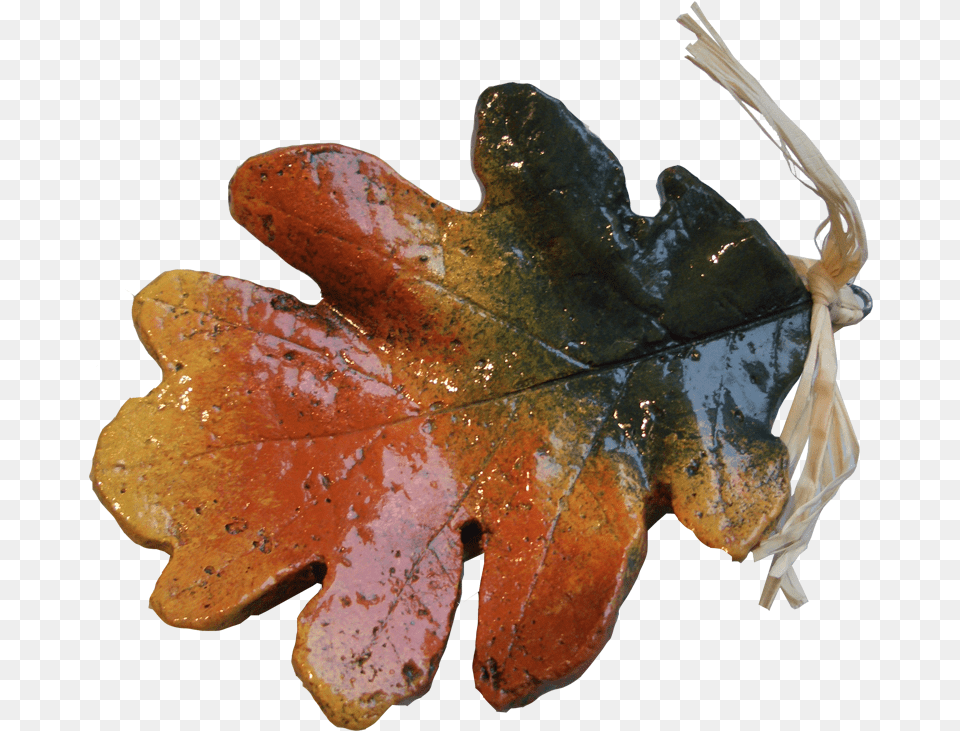 Oak Leaf Ornament Maple Leaf, Plant, Tree, Maple Leaf Free Png