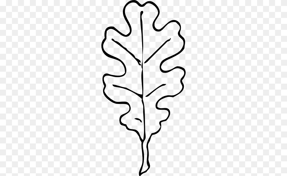 Oak Leaf Outline Clip Art, Plant, Animal, Wildlife, Monkey Free Png