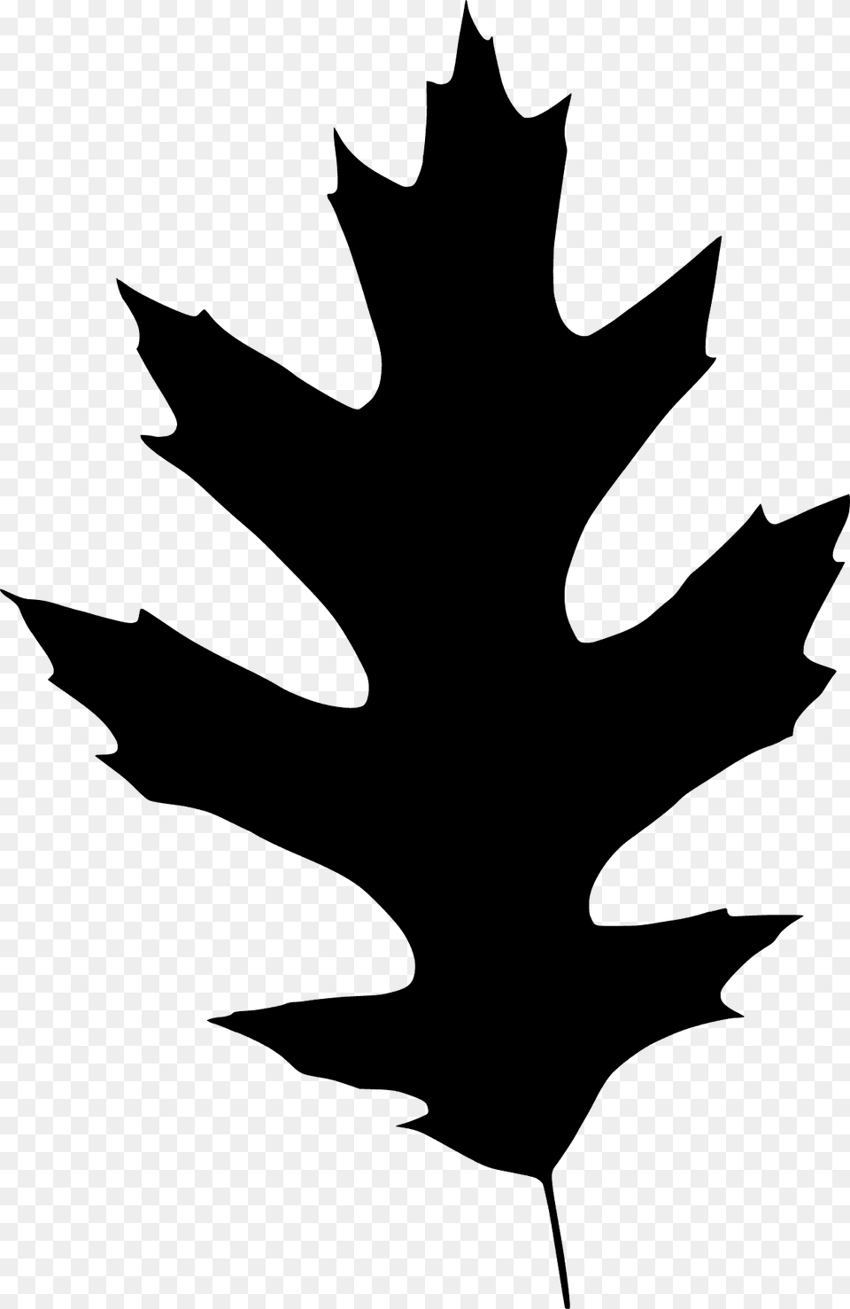 Oak Leaf Silhouette, Plant, Maple Leaf, Animal, Fish Png Image