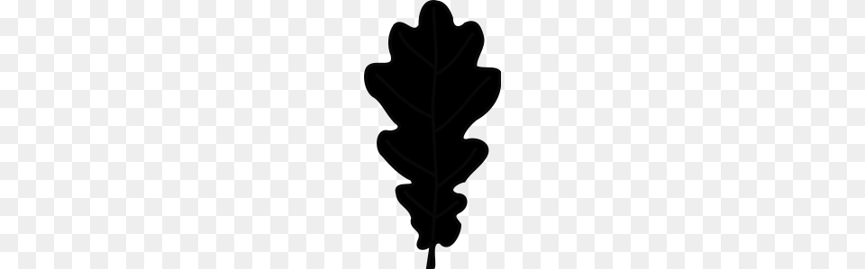 Oak Leaf Silhouette, Plant, Tree, Food, Nut Png Image