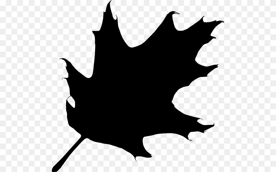 Oak Leaf Silhouette Clip Art, Plant, Maple Leaf, Animal, Fish Png Image