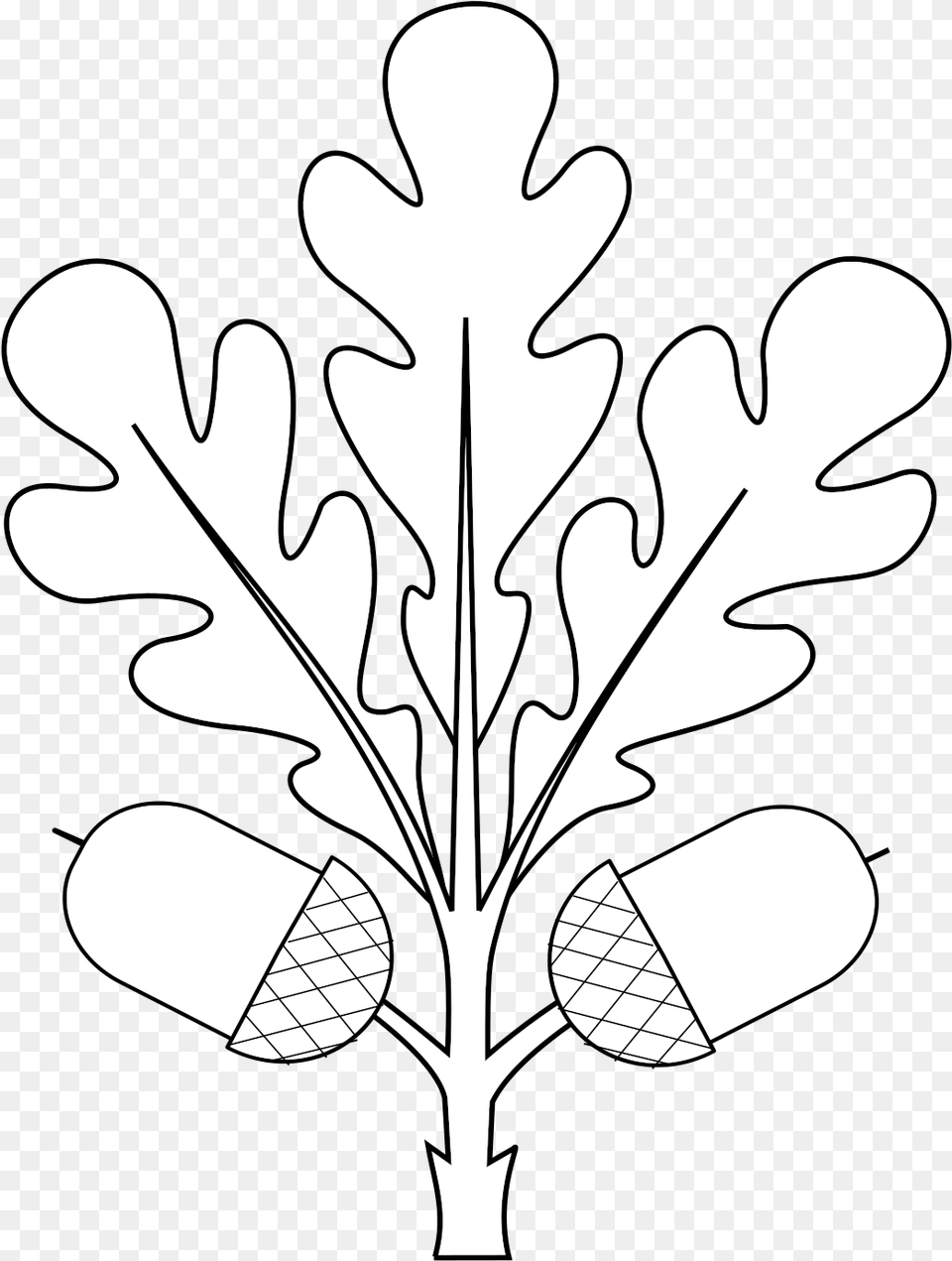 Oak Leaf Svg Wikimedia, Food, Nut, Plant, Produce Png