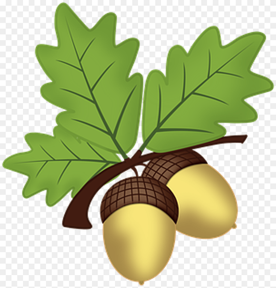 Oak Leaves Clip Art, Vegetable, Produce, Plant, Nut Png