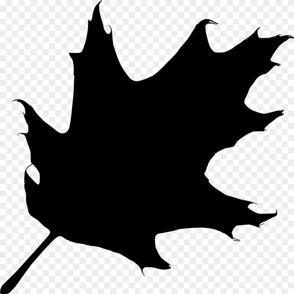 Oak Leaves Clip Art Black And White, Leaf, Plant, Silhouette, Maple Leaf Free Transparent Png