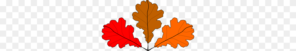 Oak Leaves Clip Art For Web, Leaf, Plant, Tree, Dynamite Png