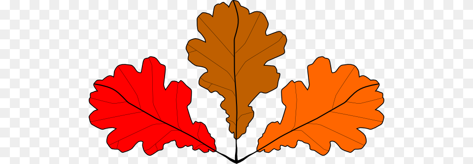 Oak Leaves Clip Art For Web, Leaf, Plant, Tree, Dynamite Png Image