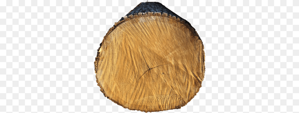 Oak Lumber, Wood, Tree, Plant, Tree Trunk Free Png Download