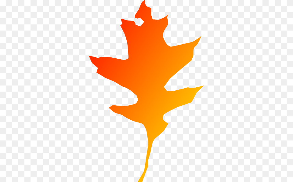 Oak Red Orange Leaf Clip Art, Maple Leaf, Plant, Tree, Animal Free Transparent Png