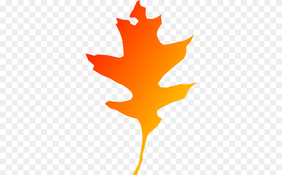 Oak Red Orange Leaf Clip Art Clip Art, Maple Leaf, Plant, Tree, Animal Free Png Download
