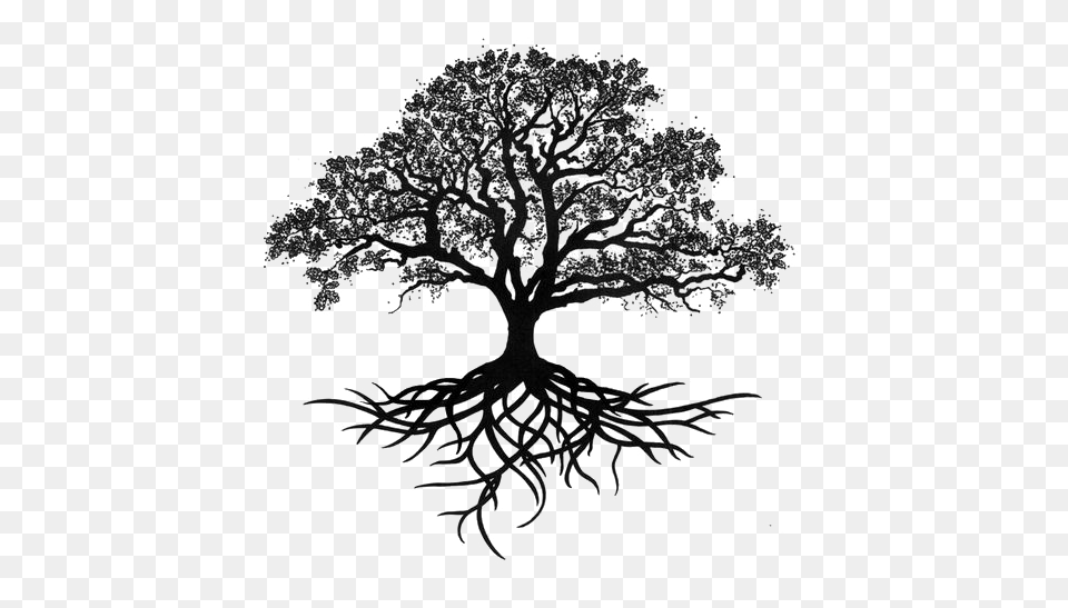 Oak Silhouette Tree Drawing Trees Oak Tree Tattoo Designs, Art, Plant Png