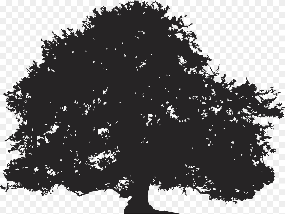 Oak Silhouette Tree Illustration Transparent Background Tree Silhouette, American Flag, Flag Png Image