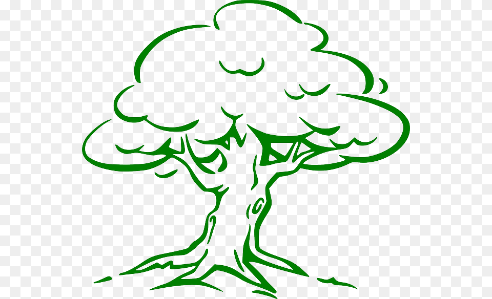 Oak Sm Cartoon Oak Tree Drawing, Stencil, Art Free Png Download