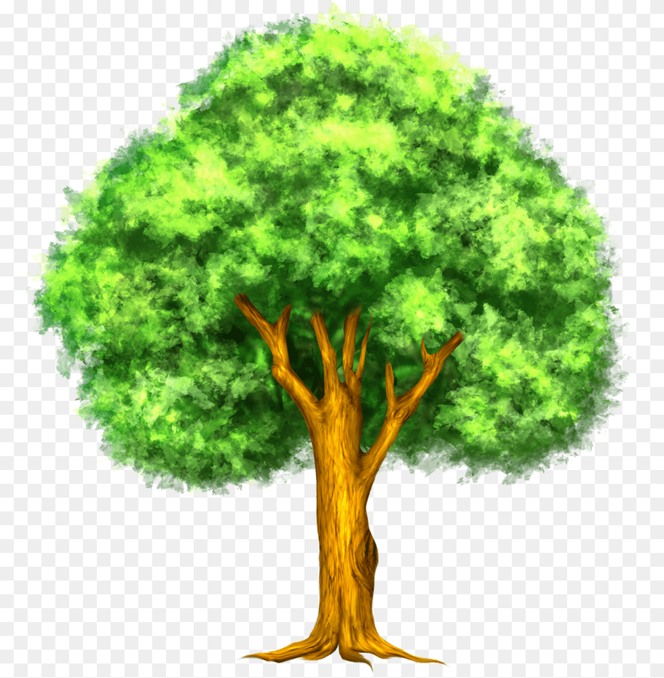 Oak Tree, Plant, Vegetation, Green, Art Png Image
