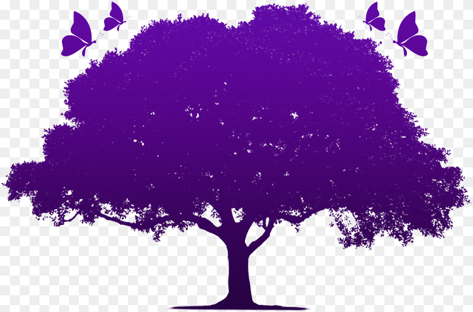 Oak Tree, Plant, Purple Free Png