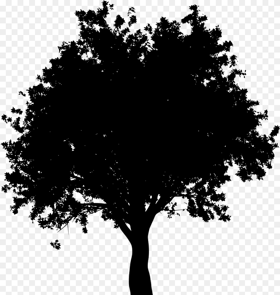 Oak Tree Black And White Arbol Vector Silueta, Gray Free Png Download