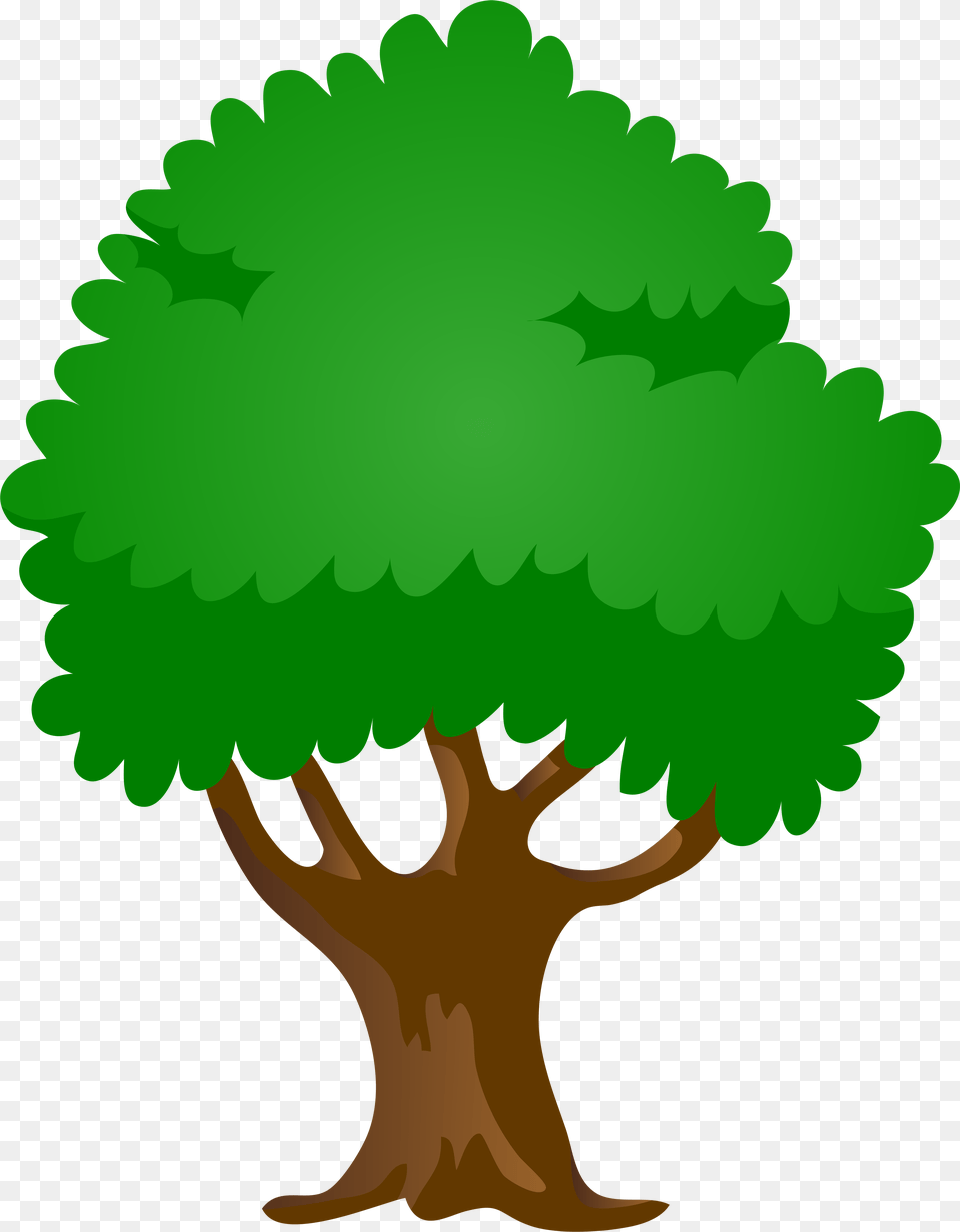 Oak Tree Cartoon Download Cartoon Mulberry Tree Drawing, Green, Plant, Potted Plant, Vegetation Png Image
