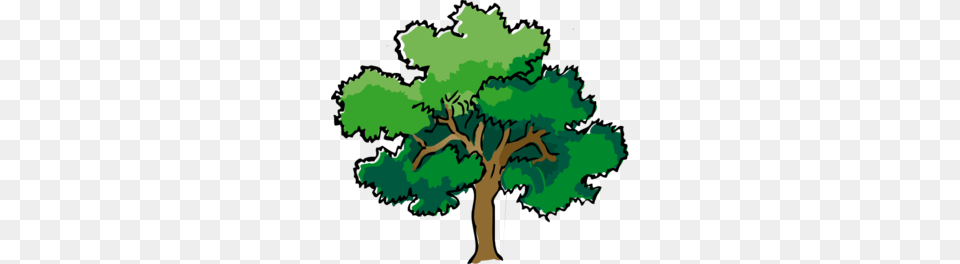 Oak Tree Clip Art, Plant, Sycamore, Painting, Vegetation Free Png