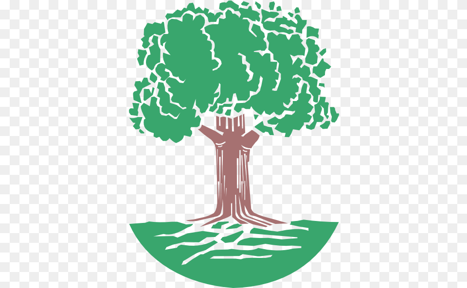 Oak Tree Clip Art Oak Tree Clip Art, Vegetation, Plant, Person, Green Png