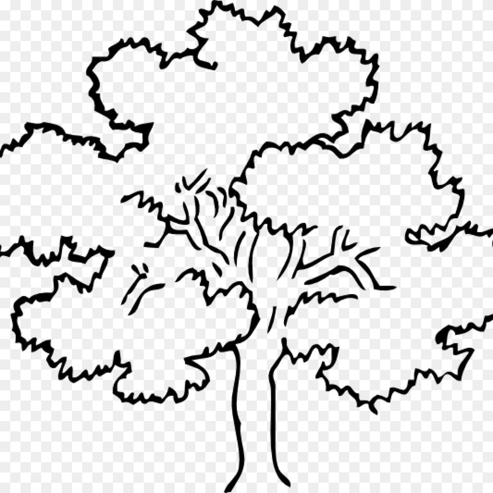 Oak Tree Clip Art Vector School Clipart, Lighting, Silhouette Free Png Download