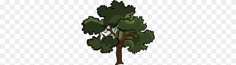 Oak Tree Clip Arts For Web, Plant, Sycamore, Vegetation, Tree Trunk Png