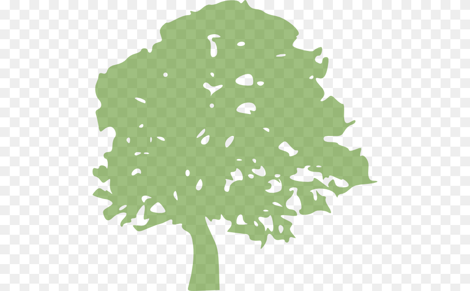 Oak Tree Clip Arts For Web Free Transparent Png