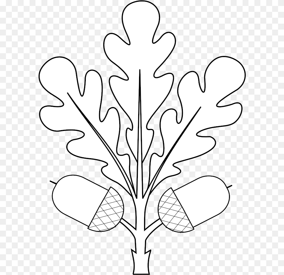 Oak Tree Clipart Heraldry, Food, Nut, Plant, Produce Free Png