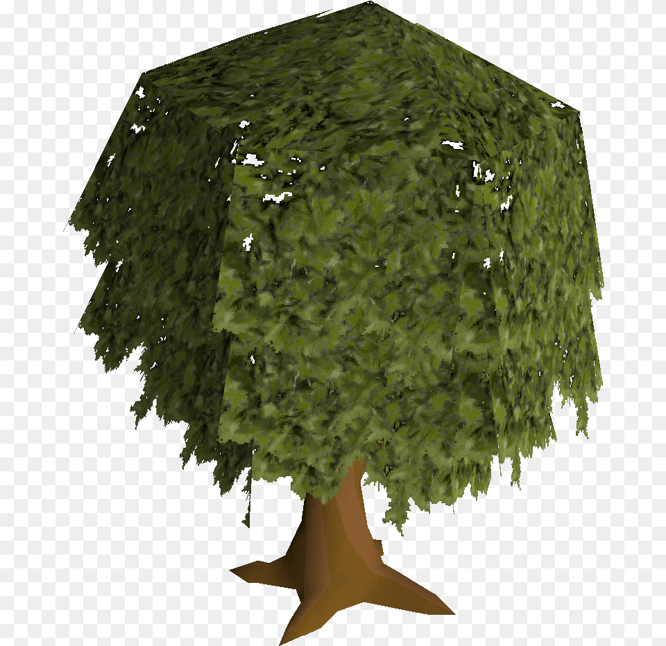 Oak Tree Construction Old School Runescape Wiki Fandom Runescape, Plant, Fashion, Vegetation Png