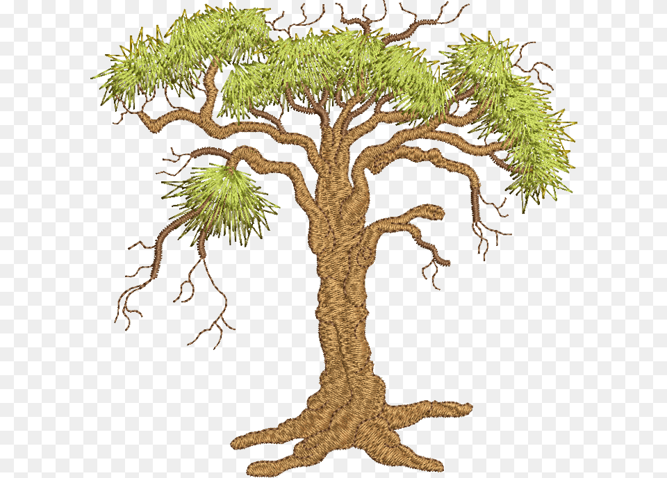 Oak Tree Download Pond Pine, Plant, Tree Trunk, Art, Drawing Png Image
