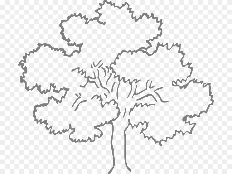 Oak Tree Grey Outline Nature Ecology Environment Outline Pictures Of Tree, Stencil, Pattern, Outdoors, Person Free Png