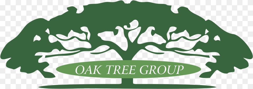 Oak Tree Group Dental And Surgical Headbands Clipart Full Oak Tree Group Net, Green, Sycamore, Plant, Vegetation Png
