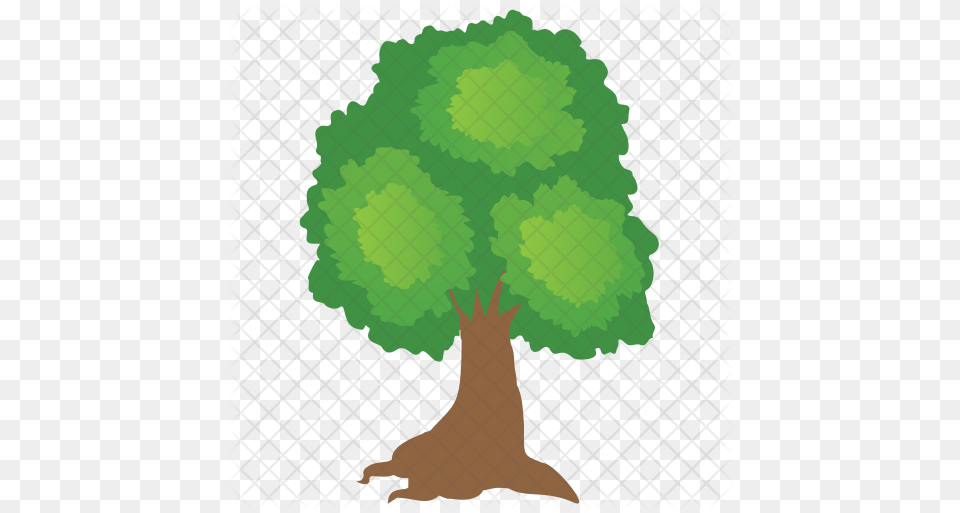 Oak Tree Icon Of Flat Style Oak Tree Icon, Green, Plant, Vegetation, Potted Plant Free Png Download
