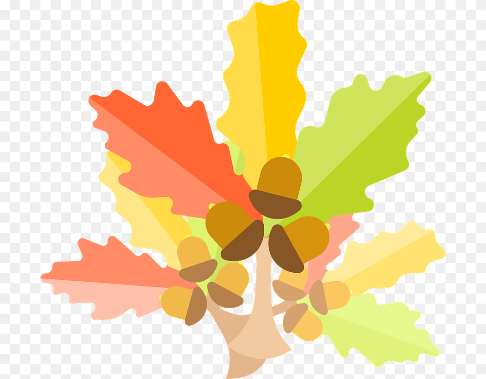 Oak Tree Leaves Clipart, Leaf, Plant, Food, Nut Png Image