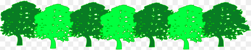 Oak Tree Silhouette, Green, Plant Png Image