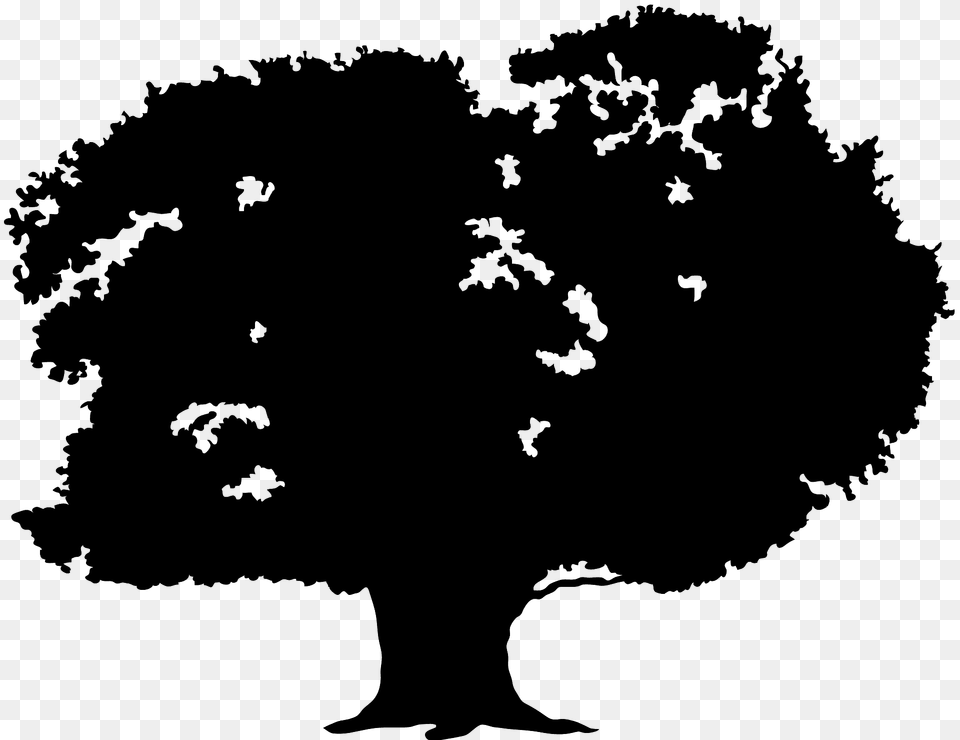 Oak Tree Silhouette, Plant, Person Png Image