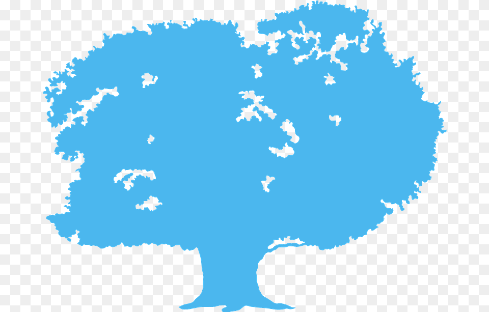 Oak Tree Silhouette Illustration, Plant, Animal, Bird Free Png