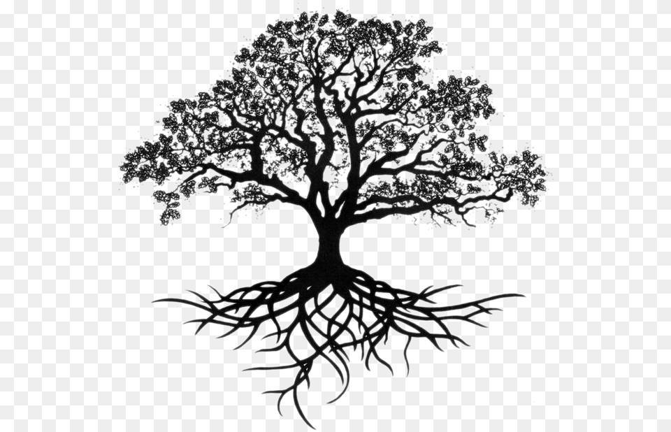 Oak Tree Silhouette With Roots, Art, Drawing, Plant Png