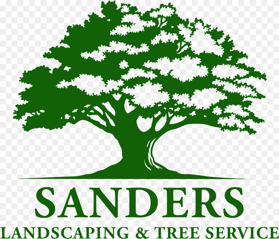 Oak Tree Vector, Green, Vegetation, Sycamore, Plant Free Transparent Png