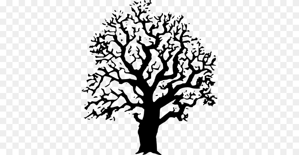 Oak Tree Vector Cool Tree Clipart Black And White, Gray Free Transparent Png