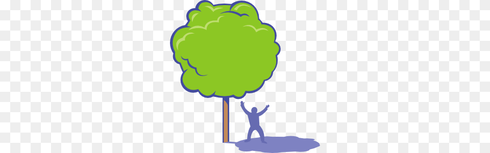 Oak Trees Clipart, Baby, Person, Plant, Tree Png Image