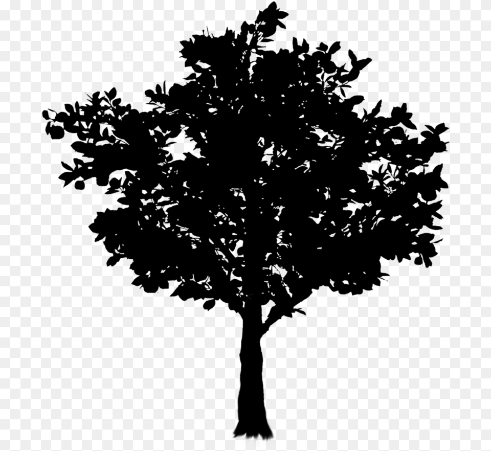 Oak Twig Tree Branch Frame Clipart, Gray Png Image