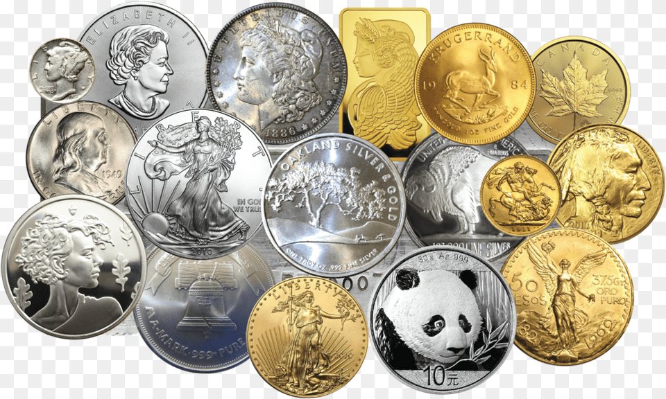 Oakland Silver U0026 Gold Coins, Person, Wildlife, Mammal, Giant Panda Png Image