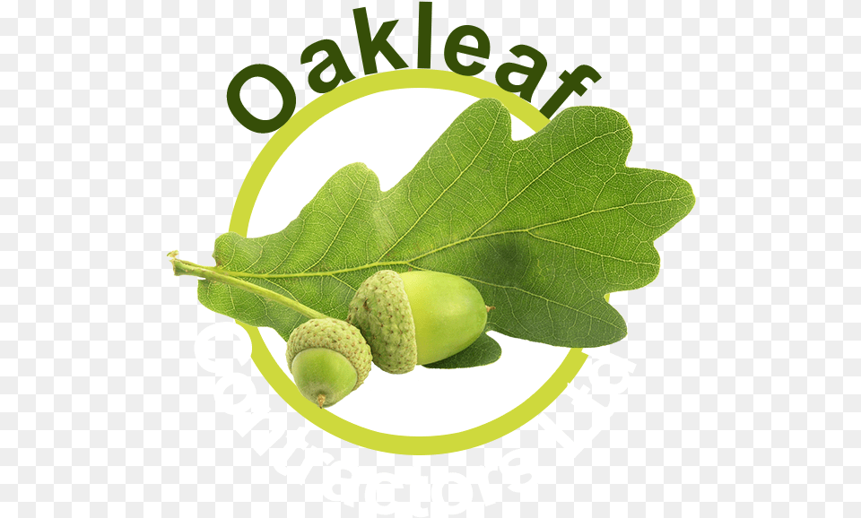 Oakleaf Contractors Ltd Olive, Vegetable, Produce, Plant, Nut Free Png Download