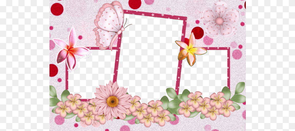 Oakley Butterfly Transparent White Frame Frame Photo 2, Envelope, Greeting Card, Mail, Flower Png Image