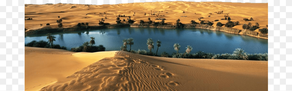 Oasis In Thar Desert, Landscape, Nature, Outdoors, Scenery Free Transparent Png