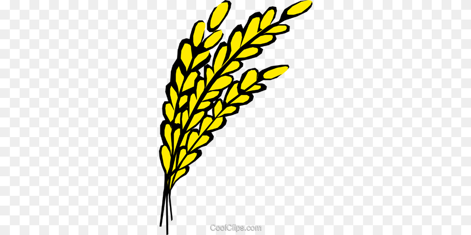 Oats Royalty Vector Clip Art Illustration, Food, Grain, Produce, Wheat Png Image