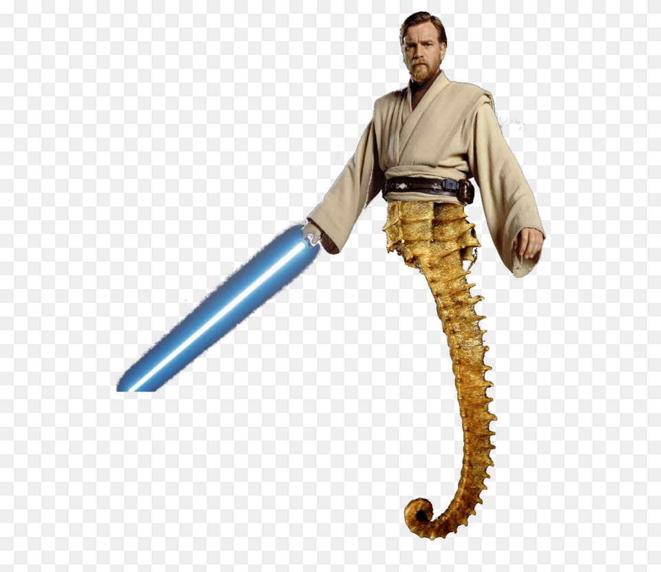 Obi Wan Kenobi, Adult, Person, Man, Male Png